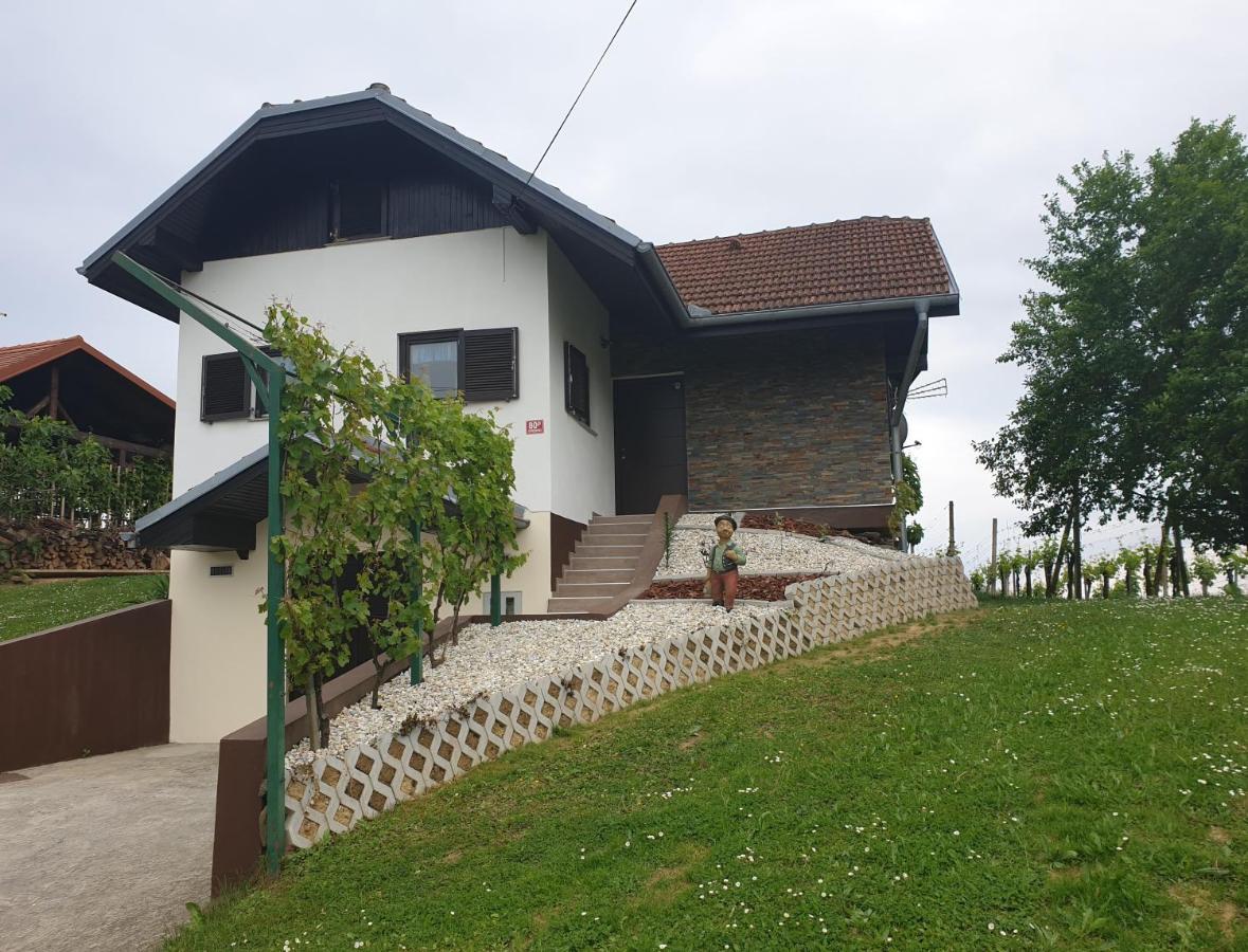 Vila Zidanica Balantic Dobrovnik Exteriér fotografie