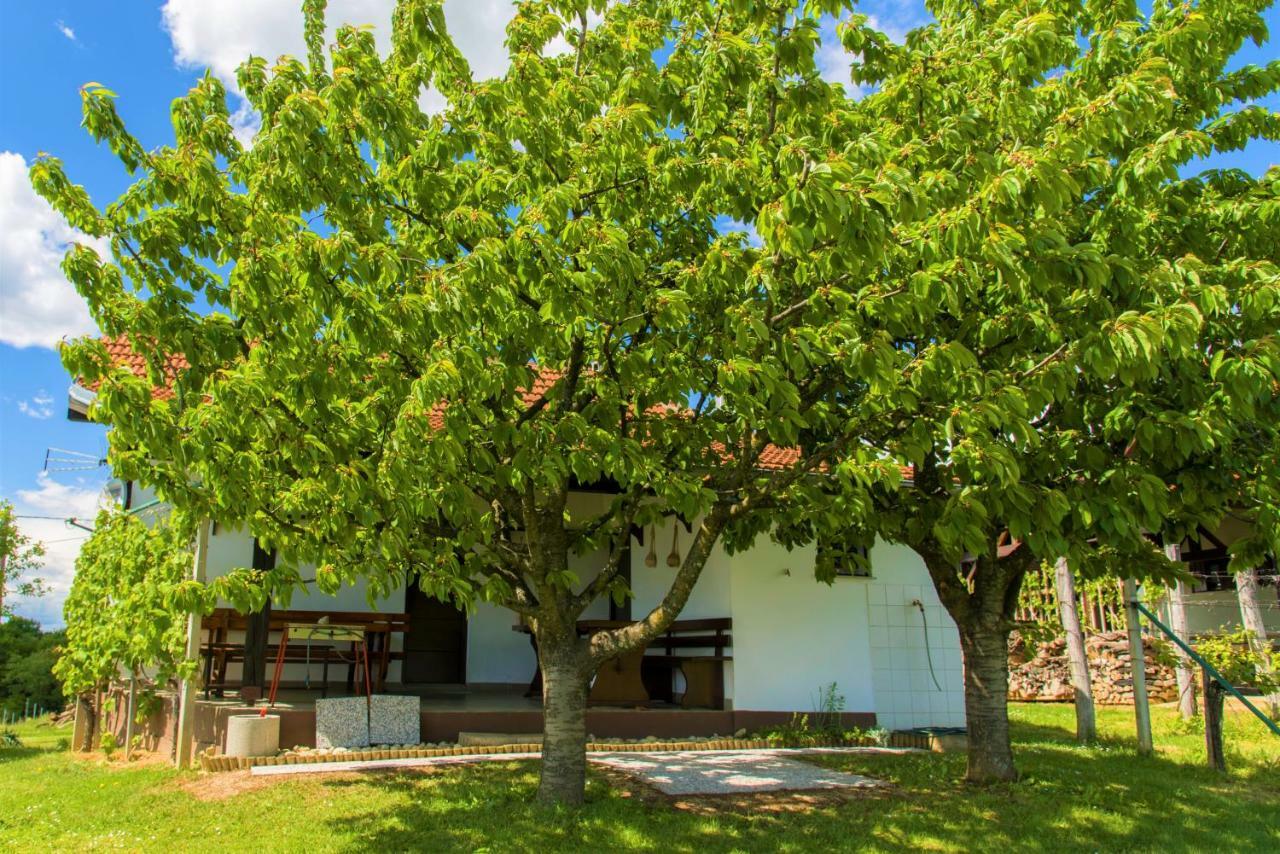 Vila Zidanica Balantic Dobrovnik Exteriér fotografie